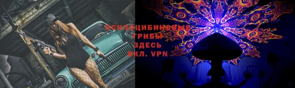 ECSTASY Волоколамск