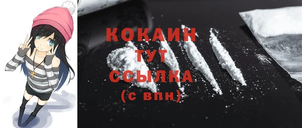 индика Волосово