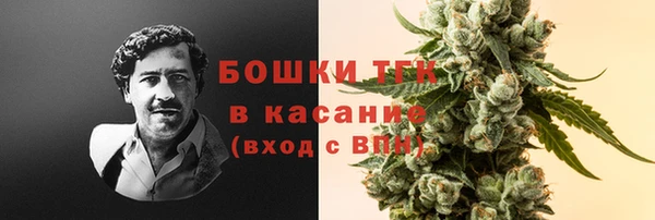 индика Волосово