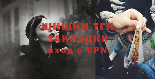 индика Волосово