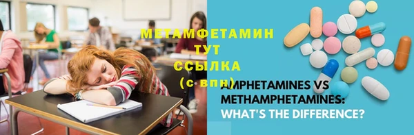 индика Волосово