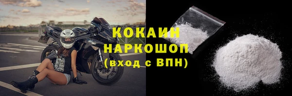 индика Волосово
