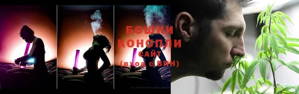 индика Волосово