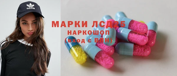 индика Волосово