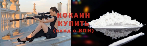индика Волосово