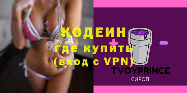 индика Волосово