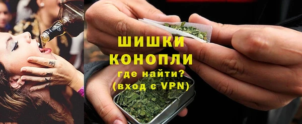 индика Волосово