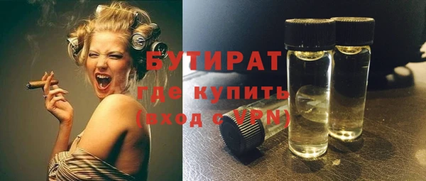 индика Волосово