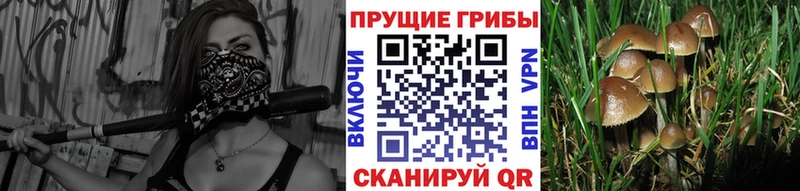 Псилоцибиновые грибы MAGIC MUSHROOMS  Крым 